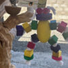 La Rana - Imagen 2