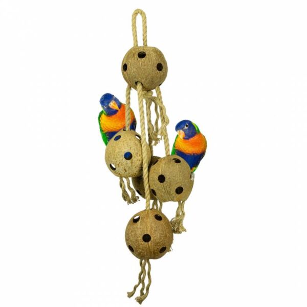Cadena de coco Zoo Nature XL - Imagen 4