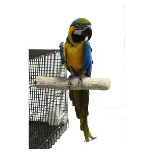 Zoo Nature Super Stone XL - 35 cm Guacamayo