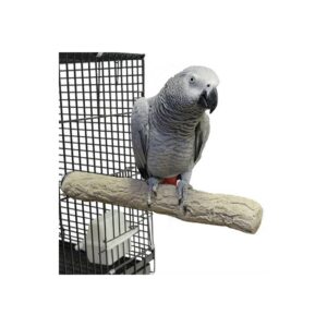 Zoo Nature Super Stone L - 35 cm Loro