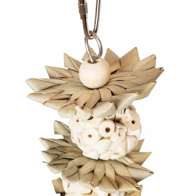 Back Zoo Nature Palm Star Balls - Imagen 2
