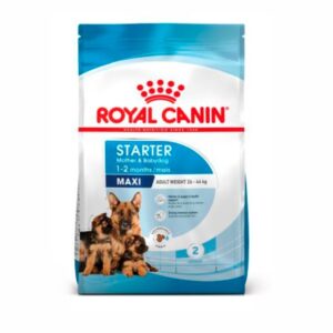 Royal Canin Maxi Starter Mother Baby